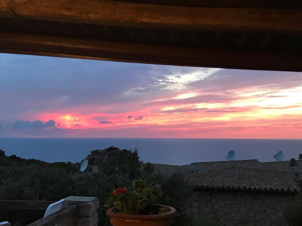Villa Unica - Appartamenti Alba e Tramonto Isola Rossa Esterno foto