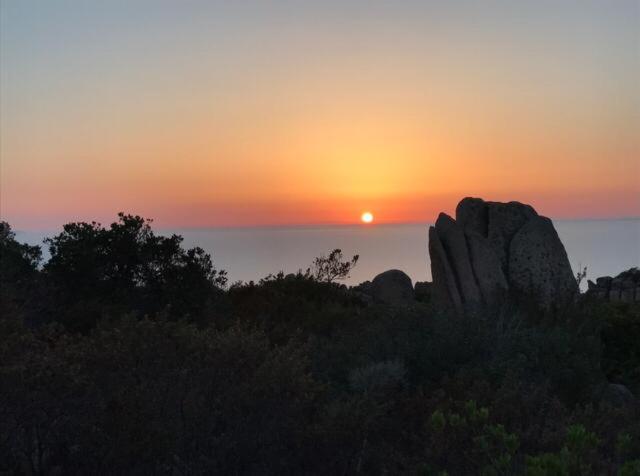 Villa Unica - Appartamenti Alba e Tramonto Isola Rossa Esterno foto